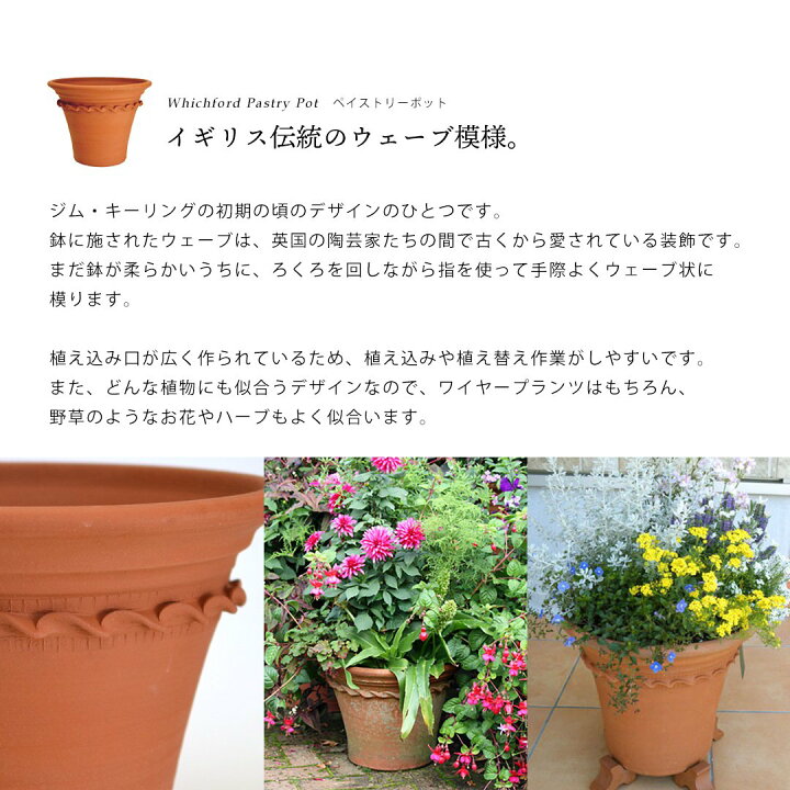 楽天市場】Whichford ウィッチフォード 植木鉢 大型 ペイストリー 