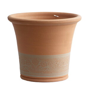 Whichford EBb`tH[h Aؔ Ch v |bg a37cmTCY Wild Primula Pot (IWi|{yv[gΏ)