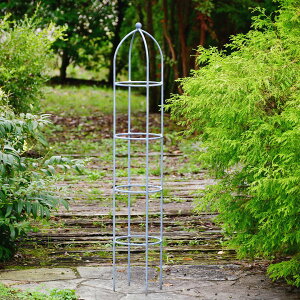 { ACA IxXN XtBA WN 1.2m gsA[ gX