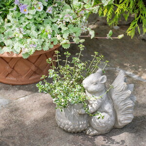 AeB[NK[fI[ig |bgt \[j|bg X A ꌊ