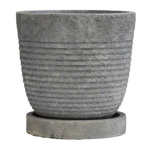 Aؔ \[T[t |bgB LTCY a14cm 4 ꌊ