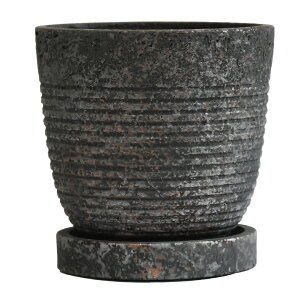 Aؔ \[T[t |bgB LTCY a14cm 4 ꌊ