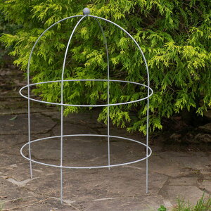 { ACA vcT|[g h[ WN LTCY a55cm×75cm gsA[ gX