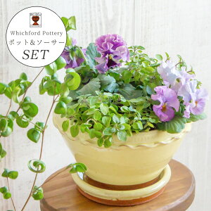 Whichford EBb`tH[h Aؔ 󂯎Mt h蔫 Zbg OCYh [Y{E a18cm +  a19cmiGj