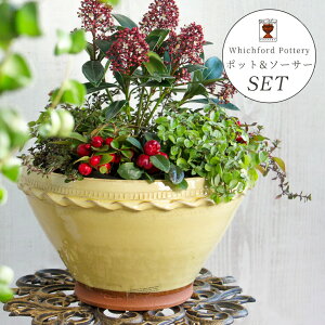 Whichford EBb`tH[h Aؔ 󂯎Mt h蔫 Zbg OCYh [Y{E a23cm +  a22cmiG+j (IWi|{yv[gΏ)