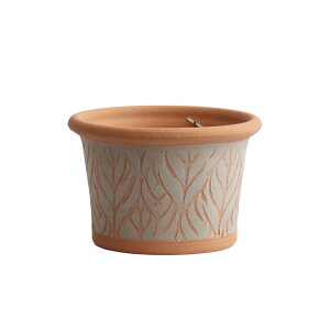 Whichford EBb`tH[h Aؔ ^ r[`[t v^[ Mini a21cmTCY