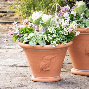 Whichford EBb`tH[h Aؔ LOtBbV[ tA|bg S a27cm K[f}[gIWi (IWi|{yv[gΏ)
