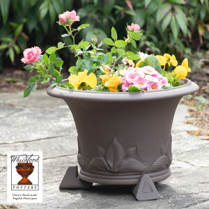 �y�v���[���g����Ώہz Whichford �E�B�b�`�t�H�[�h �A�ؔ� �z�X�^�|�b�g ���a37cm�T�C�Y �`���R�[�� Hosta Pot �K�[�f���}�[�g�I���W�i��