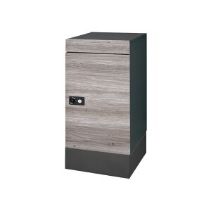 |XgzBOX J(ؖ) + pu Only One I[ GMiΏ