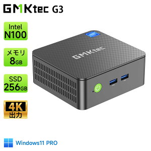 y󂠂菤i ׂzGMKtec g3y~jpc Intel N100 DDR4 16GB+1TB SSDz mini pc Windows11 Pro 4RA/4Xbh őg3.4GHz WIFI6/BT5.2 TDP 6W ^ M.2 2280 NVMe(PCIe3.0)~jp\R 2.5GLAN|[g É y 