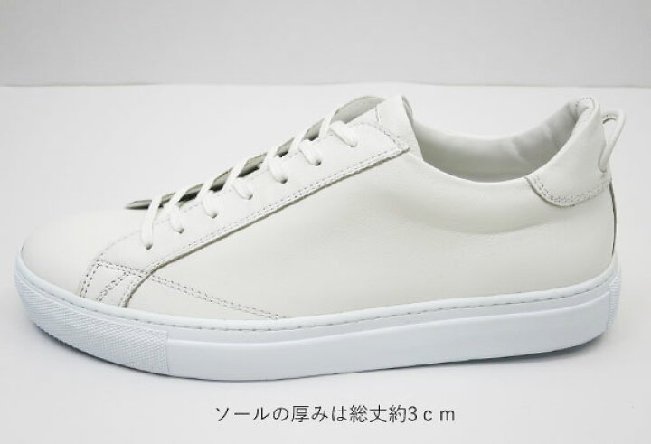 楽天市場】【廃番ループ付き】Amb (エーエムビー) 9838 KIPS メンズ 