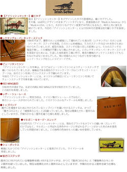【選べるケア用品1点付】【IrishSetter】redwingアイリッシュセッター犬タグ復刻モデルREDWINGレッドウィングアイリッシュセッター98746"Moc-Toeブラック"クローンダイク"redwing9875の黒レッドウィング9874レッドウィング9874redwing9874