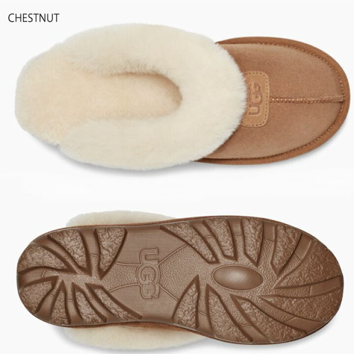 楽天市場】【 ugg 国内正規商品 】 ugg COQUETTE UGG アグ コケット  