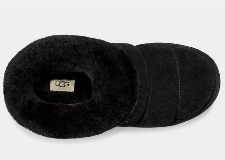 楽天市場】2024秋冬 【 ugg 国内正規商品 】 UGG Tazzlita アグ  