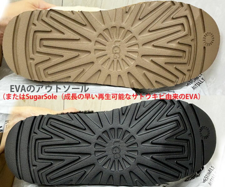 楽天市場】2024秋冬 【 ugg 国内正規商品 】 UGG Tazzlita アグ 
