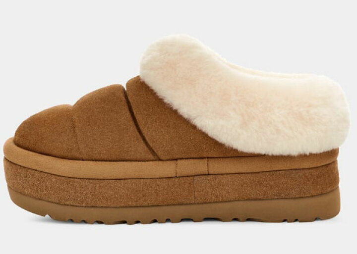 楽天市場】2024秋冬 【 ugg 国内正規商品 】 UGG Tazzlita アグ 