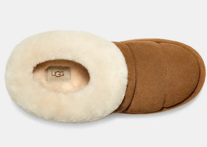 楽天市場】2024秋冬 【 ugg 国内正規商品 】 UGG Tazzlita アグ  