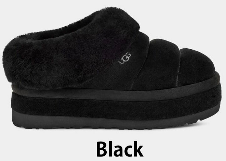 楽天市場】2024秋冬 【 ugg 国内正規商品 】 UGG Tazzlita アグ  