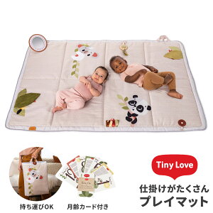 TINY LOVE ^Cj[u vC}bg[ Mtg  oYj a v[g o[Xf[ Ԃ xr[gC ^ }bg xr[}bg vC}bg ^Cj[u xr[ObY ]