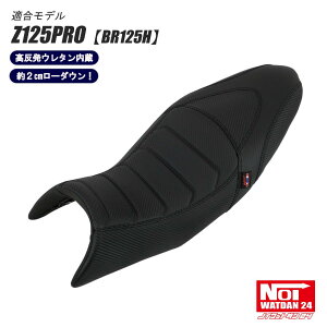 Z125PRO ���[�_�E���V�[�g NOI WATDAN24�i�m�C ���b�g�_��24�j �J�[�{���u���b�N/�u���b�N�X�e�b�` ��2cm���[�_�E�� �������E���^������ BR125H