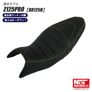 Z125PRO ���[�_�E���V�[�g NOI WATDAN24�i�m�C ���b�g�_��24�j �J�[�{���u���b�N/�O���[���X�e�b�` ��2cm���[�_�E�� �������E���^������ BR125H