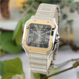 �J���e�B�G �T���g�X �h�D �J���e�B�G LM W2SA0030 �t���i���i CARTIER �V�i�����Y �r���v ��������