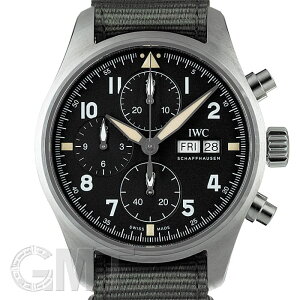 IWC pCbgEHb` NmOt Xsbgt@C IW387901 IWC ViY rv 