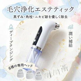 毛穴吸引器 毛穴ケア 美顔器 毛穴クリーナー 人気 ニキビ吸引 バブル 角栓除去 鼻黒ずみ吸引 毛穴汚れ イチゴ鼻吸引 保湿 美肌 メンズ レディース 強力 洗浄クリア エステ 毛穴クリーン 6種類吸引ヘッド 3段階吸引力 敏感肌 充電式