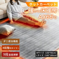 ✨先着限定のみ安心1年間保証✨ホットカーペット 2畳 1畳 本体 電気カーペット 電気マット カーペット ダ…