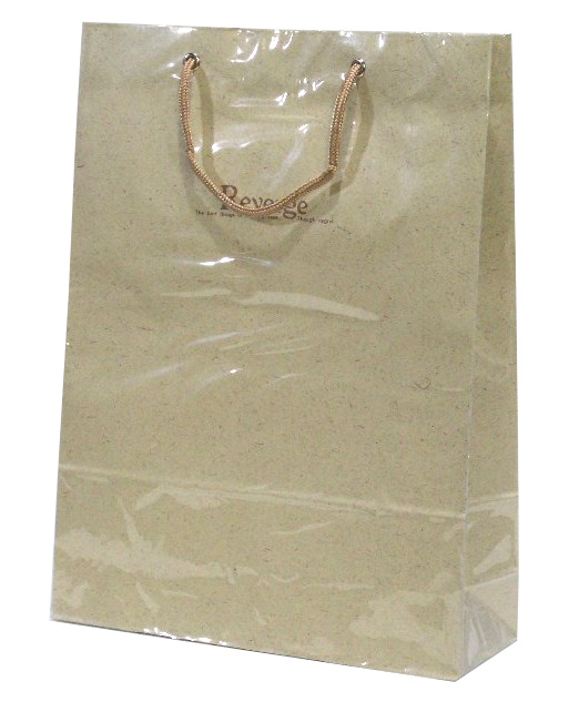 紙袋 ビニール被せ手提げ袋 ロングデラックス 10枚セット 好きに リバージュ 印象のデザイン