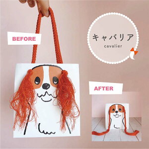 obO 땶@ [ ۋʍH ݂  |j[e[ m }g^P NXNtc