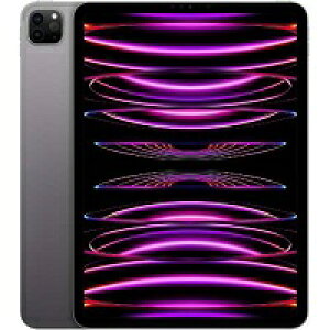 yVizApple iPad Pro 11C` 4 Wi-Fi 256GB 2022NHf MNXF3J/A [Xy[XOC]