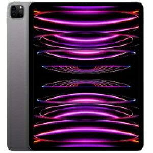 yVizApple iPad Pro 12.9C` 6 Wi-Fi 2TB 2022NHf MNXY3J/A [Xy[XOC]