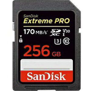 yVizSANDISK SDSDXXY-256G-JNJIP [256GB]