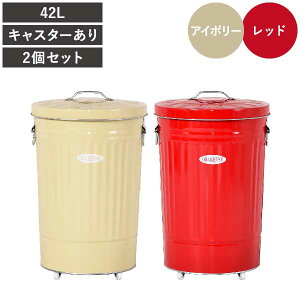 ゴミ箱 45リットル 45L 33L/42L おしゃれ ダストボックス キッチン 分別 臭わない おむつ用 ふた付き リビング 大きい 大容量 ペットボトル キャスター付き 缶 ビン ペット いたずら 防止 生ごみ