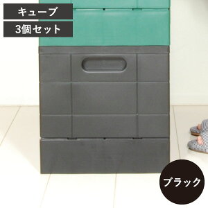 [{bNX  BOX gNJ[S s 30cm  ֎q  vX`bN { k CeAG ᔠ x_ 20L 38.5L d˂ e X^bN{bNX ܂