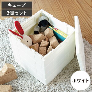 [{bNX  BOX gNJ[S s 30cm  ֎q  vX`bN { k CeAG ᔠ x_ 20L 38.5L d˂ e X^bN{bNX ܂