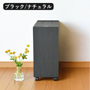 yT2tzyS6z S~ 45bg g Ȃ 20cm 30cm X Lb` _Xg{bNX rO 傫 ܂Ȃ 45l 30l 30bg ybg{g ӂt LX