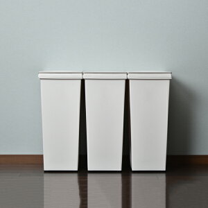 ゴミ箱 ダストボックス おしゃれ 45リットル 15〜45L 30リットル キッチン プッシュ式 臭わない 袋が見えない 蓋付き ペットボトル スリム ペット いたずら 防止 中身見えない 大きめ 約幅20cm