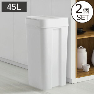 yS12zyTtzWtS~ X 45l   Lb` gC rO LȂ 20cm ނ 45bg e Tj^[{bNX ӂt ^ ybg  h
