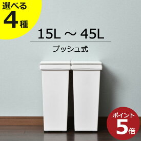 ゴミ箱 ダストボックス おしゃれ 45リットル 15～45L 30リットル キッチン プッシュ式 臭わない 袋が見えない 蓋付き ペットボトル スリム ペット いたずら 防止 中身見えない 大きめ 約幅20cm 約幅30cm ゴミ袋ホルダー 大容量 日本製 アスベル( エバンプッシュペール )