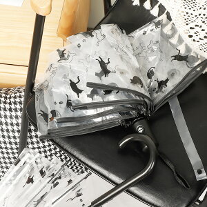 P ɋ  L rj[ ϕ 킢 P JP fB[X Y y Wv ܂肽ݎP y RpNg ܂ݎP J Jp ʋ ʊw w  s g