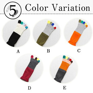 C 5{w \bNX fB[X  \bNX Y  g C t H ~ r JWA l \bNX 5{w ؍ t@bV IV nC\bNX fB[X  