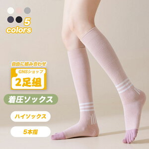 nC\bNX 5{w fB[X  X|[c\bNX St \bNX ^p\bNX C  ̎q \bNX nC\bNX ėp   l Mtg _炩 ȍ Lk 