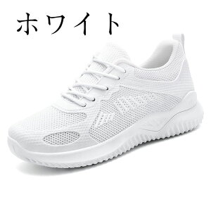 ʊw C  Xj[J[ w q Y  jp WjA q O Xj[J[ ʋC u₩ X|[c wZ tbgV[Y  i[XV[Y ɂ i[XR Ōt 