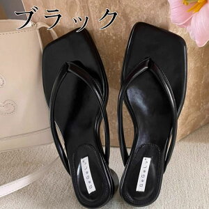 r[`T_ Xbp fB[X   XNGAgD T_ fB[X EGbW\[    ėp C   ֗ o r l C   s  ؍t@bV