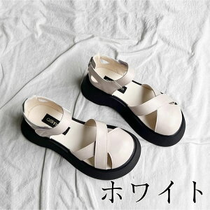 T_ fB[X tbg V[Y gOT_ ɂȂ  _炩  wgOT_  fB[X  V[Y q EhgD  r ʊw ʋ 