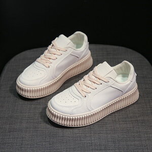  Xj[J[ fB[X  Ȃ h  Xj[J[ ؍ w Z  lC tbgV[Y ₷ fB[X Xj[J[ JWA  ʊw ʋ q 