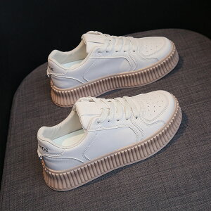  Xj[J[ fB[X  Ȃ h  Xj[J[ ؍ w Z  lC tbgV[Y ₷ fB[X Xj[J[ JWA  ʊw ʋ q 