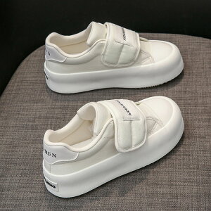  Xj[J[ fB[X   Ȃ LoX Xj[J[ RȂ tbgV[Y  ꂢ ₷ fB[X }WbNe[v ₷ Xj[J[ fB[X ʊw ʋ